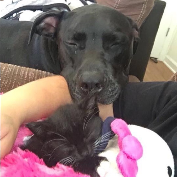 Hello! - Picture 2 of 5